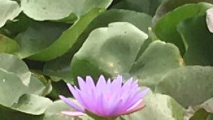 名称测试名称测试名称测试名称测试名称测试